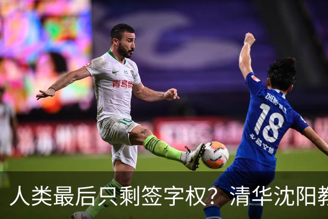 人类最后只剩签字权？清华沈阳教授谈AI终局