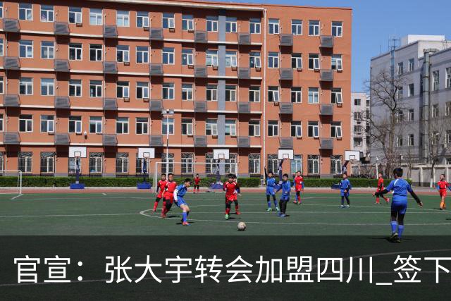 官宣：张大宇转会加盟四川 签下两年C类合同
