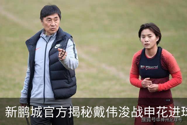 新鹏城官方揭秘戴伟浚战申花进球：早有布局，绝非即兴发挥