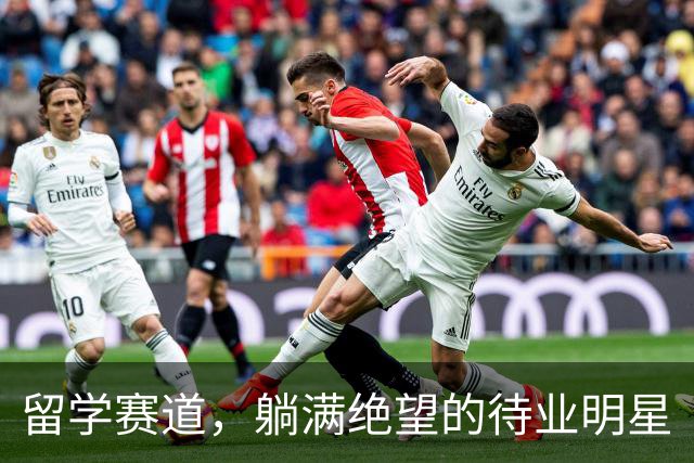 留学赛道，躺满绝望的待业明星