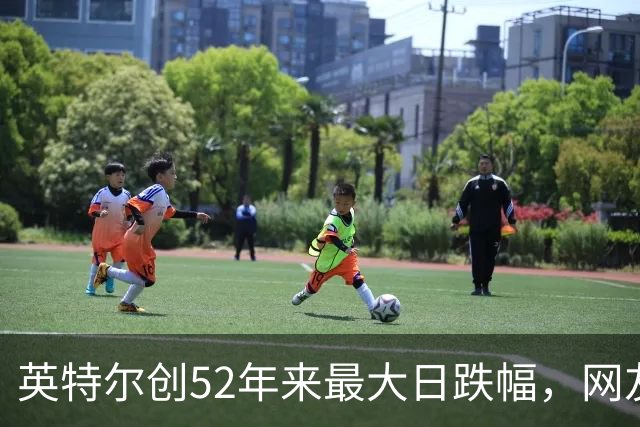 英特尔创52年来最大日跌幅，网友：再给华为5年，英特尔会跌更多